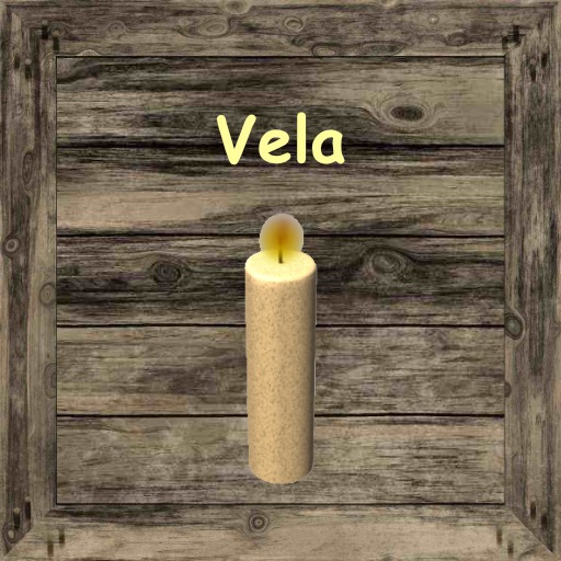 Storage Box Vela