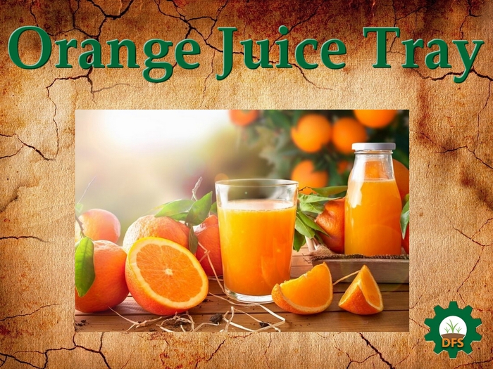DFS Texture Orange Juice Tray