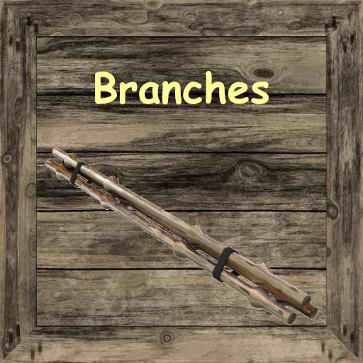 Storage Box Branches