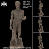 GD MESH FULL PERM STATUE DAVID