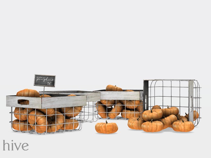 hive // mini pumpkins in basket set [wear to unpack]