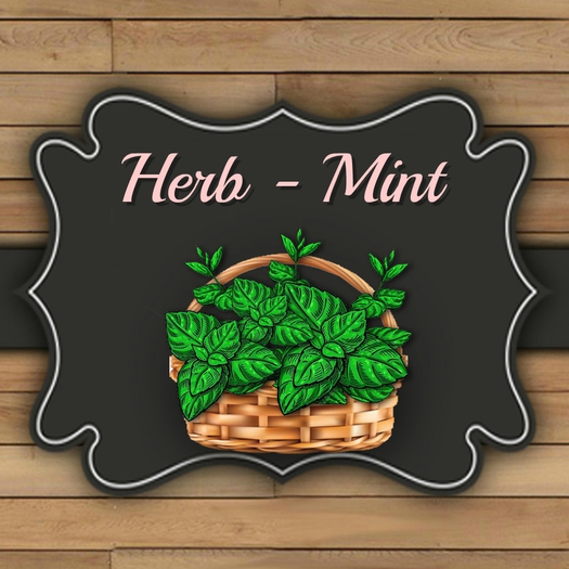 DFS TEXTURE - Herb Mint
