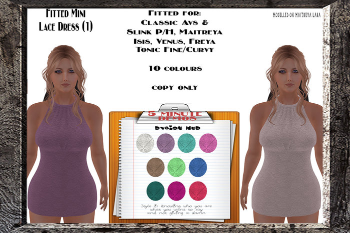 Fitted Lace Mini Dress  (1)DEMOS