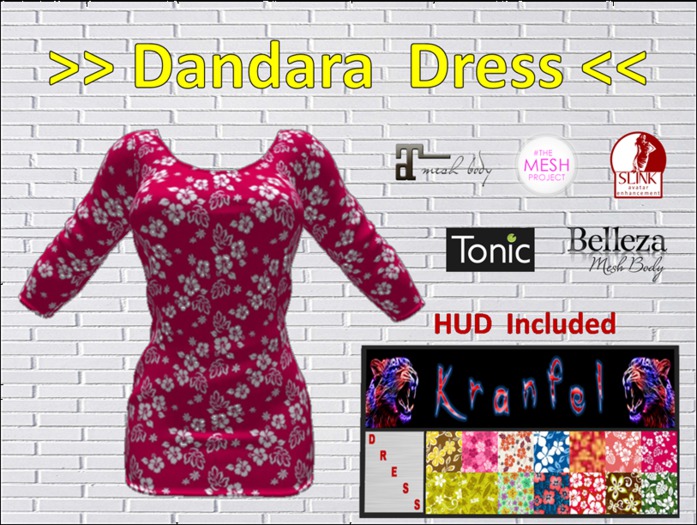 >> Dandara Dress <<