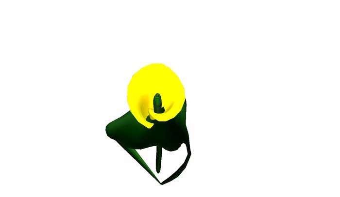 AA calla groom flower yellow2