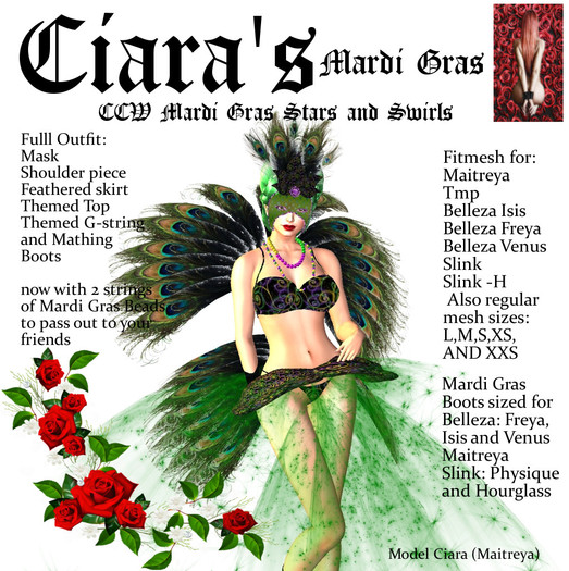 CCW Mardi Gras Stars and Swirls 