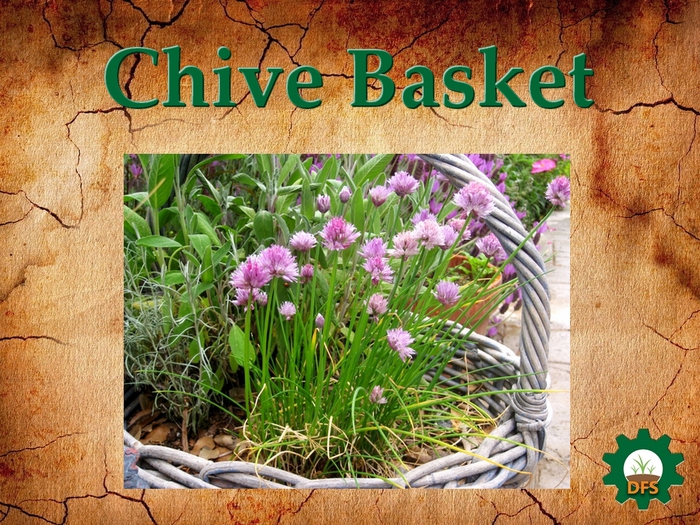 DFS Texture Chive Basket
