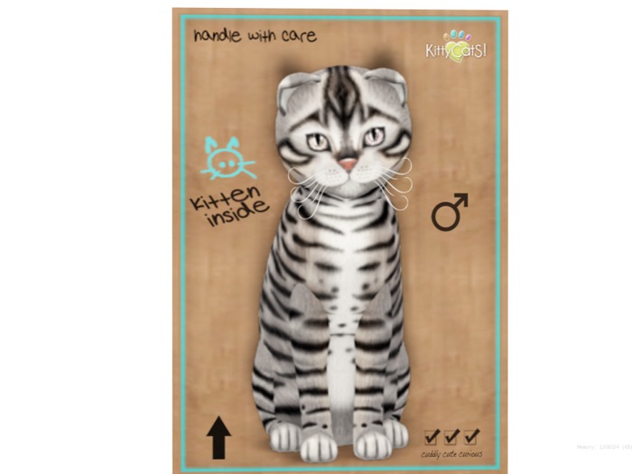 KittyCatS Box - 8 T - Toyger - Silver