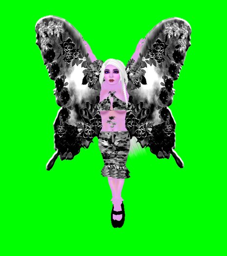 Gothy Butterfly (Includes Everything In The Picture)