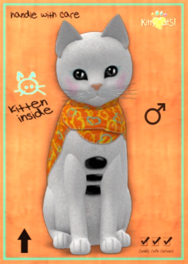 KittyCatS Box - M - SnowBabieS-CitrusSnow