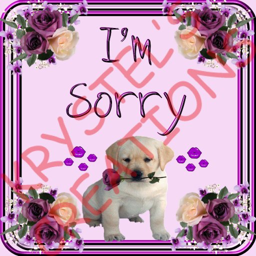 Sorry40 I'm Sorry (Rezz Me)