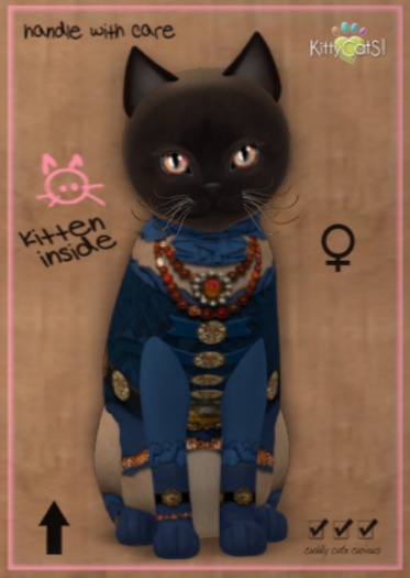 KittyCatS Box - F - MateyCatS - Wenchy Blue