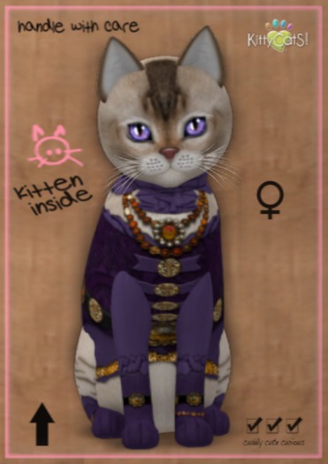 KittyCatS Box - F - MateyCatS - Wenchy Plum