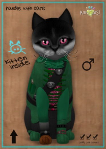 KittyCatS Box - M - MateyCatS - Cap'n Green