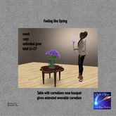 Feeling Like spring- Carnation giver-crate