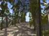 Garden bridge ivy arch 1