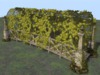 Garden bridge ivy arch 3
