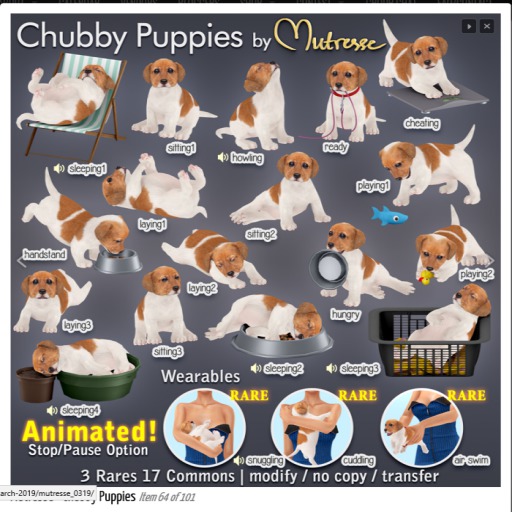 Mutresse-Snuggled-Chubby Puppies RARE