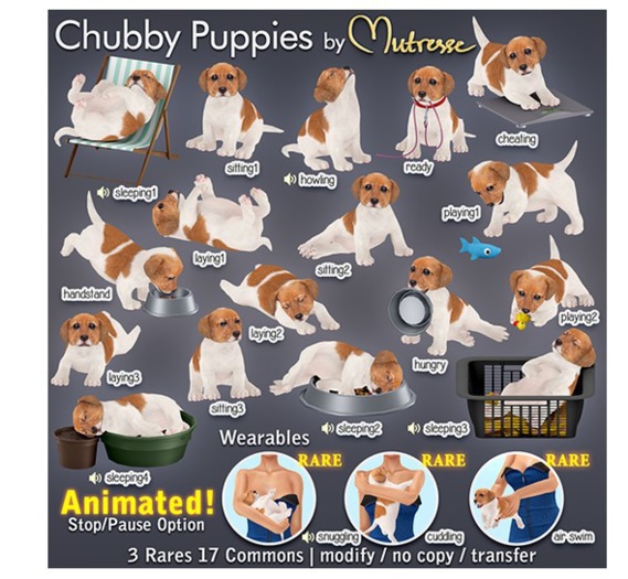 Mutresse-Cuddling-Chubby Puppies RARE