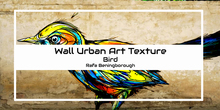 Wall trim BIRD texture