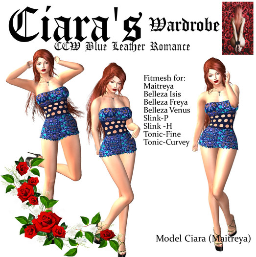 CCW Blue Leather Romance (ADD)