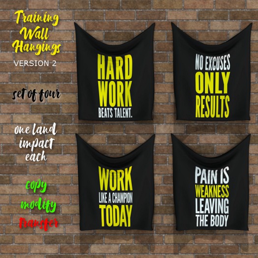 Training Wall Hangings v3