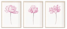 Wall Decor - Pink Floral Trio