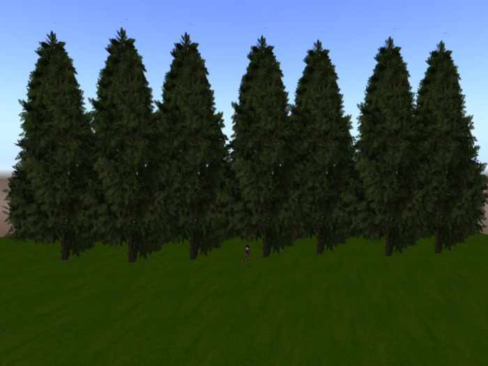 FLAT EVERGREEN ROW ( for borders ) MESH