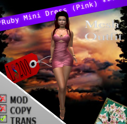 Ruby Mini Dress (pink)