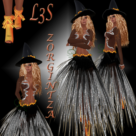 ¡¡¡ PROMOTION  !!![ L3S ] ZORGINTZA