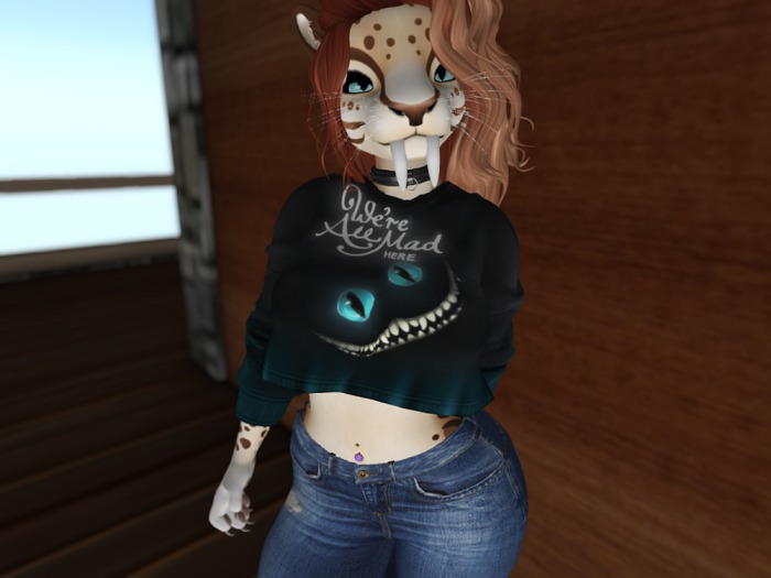 We're All Mad Here Cropped Sweatshirt BOX