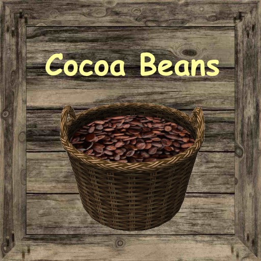 Storage Box Cocoa Beans Basket