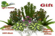 Lady's Garden -Tropical flowerbed (Gift) 12 Prim
