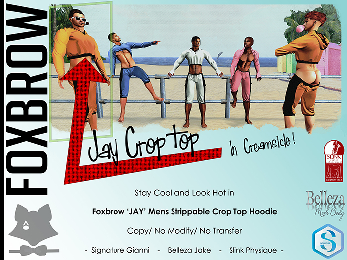 Foxbrow : Jay : Creamsicle (Wear Me)