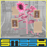 SMASH - KittyCatS Mutant Sunflower Display Pink (for Female Boxes)