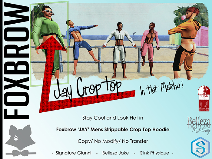 Foxbrow : Jay : Hot Matcha (Wear Me)