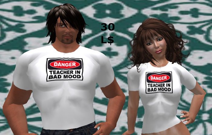 10 Teacher shirts