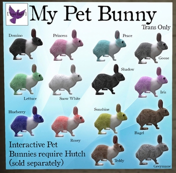 rabbit pet carrier