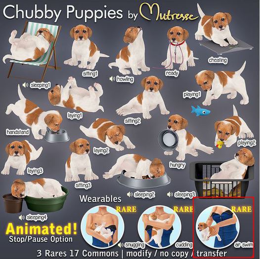 Mutresse-Cheating-Chubby Puppies