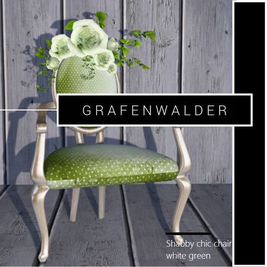 ~GW~ shabby chic chair white green