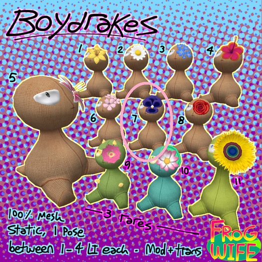 FROG WIFE - Boydrake [7] (boxed)