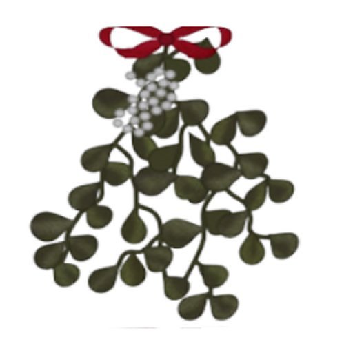 Christmas MistleToe