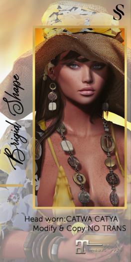 ____SEMBLANCE__BRIGID BENTO SHAPE____