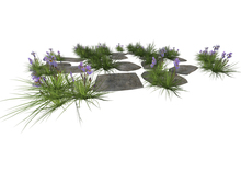 *Heart* - Secret Garden Path - square .1(copy)