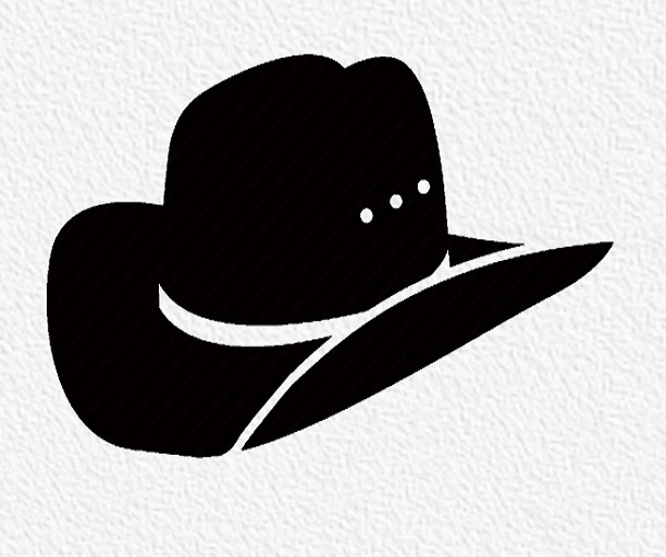 Country Hat Texture.png