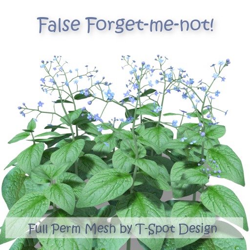 T-Spot Mesh - False Forget-me-not (Brunella macrophyllis) - Full Perm - LI=0.5-0.8