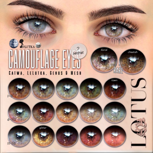 LOTUS. Camouflage Eyes 08 BOX
