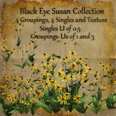Bad Katz Black Eye Susan Set