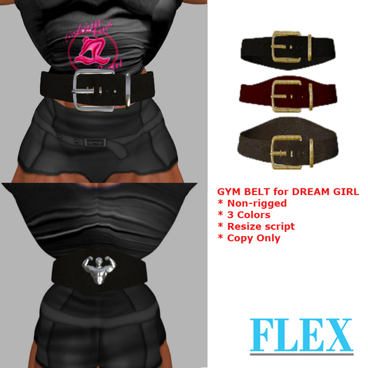 Gym Belt for Dream Girl