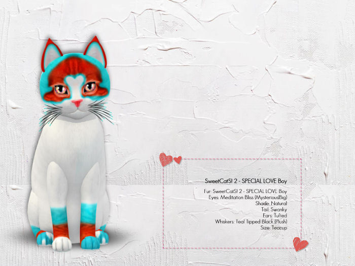 KittyCatS Box - SweetCatS! 2 - SPECIAL LOVE Boy - TeaCup